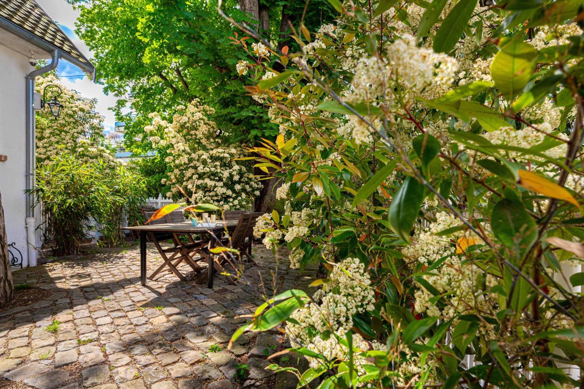 Grand & Classy Apartment With Private Garden, Villa Des Ammonites Meudon Luaran gambar